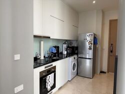 Urban Treasures (D14), Condominium #519663121